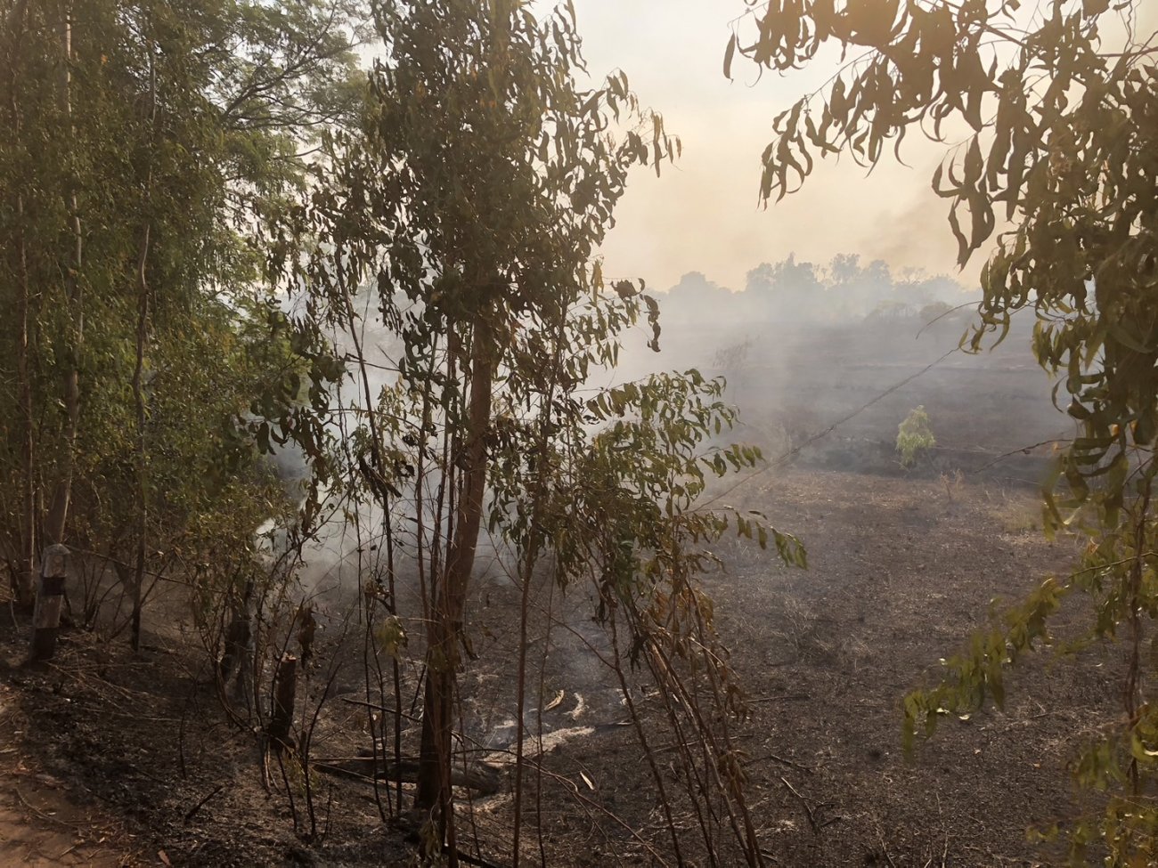 งานป้องกันเเละบรรเทาสาธารณภัย องค์การบริหารส่วนตำบลนาคำใหญ่ ได้รับการประสานงานขอความช่วยเหลือจาก อบต.ท่าไห เหตุไฟลามทุ่งบริเวณ หนองกระเจียว ทางไปบ้าน ท่าไห